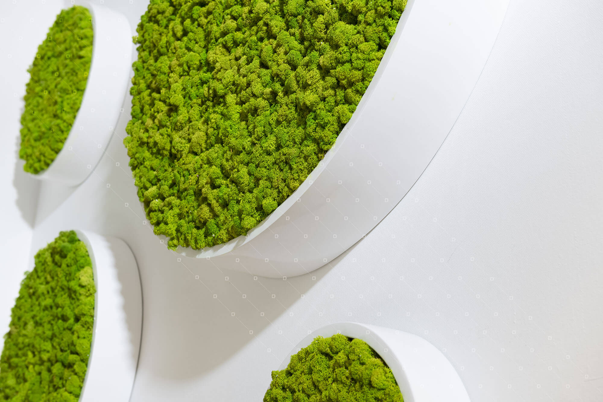 decor-vegetal-interieur-ecole-campus-entreprise-pro-reims