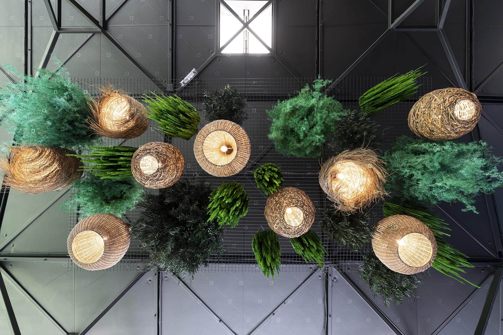 plafond-vegetal-stabilise-entreprise-rse-paris-france